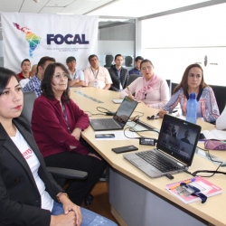 MEF fortalece intercambio de experiencias en el marco del FOCAL 2020
