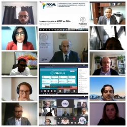 11va videoconferencia Reunión Técnica Focal