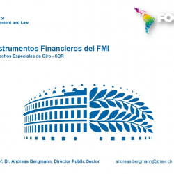 FOCAL Presidencia-México. Sesión técnica “Instrumentos Financieros del FMI – Derechos Especiales de Giro SDR (Special Drawing Rights)”.