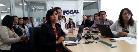 Videoconferencia 1era Reunión Técnica 2019 "Consolidación de Estados Financieros"